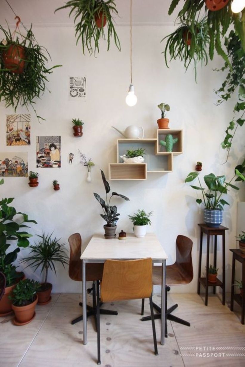Clean and modern apartment space with indoor plants