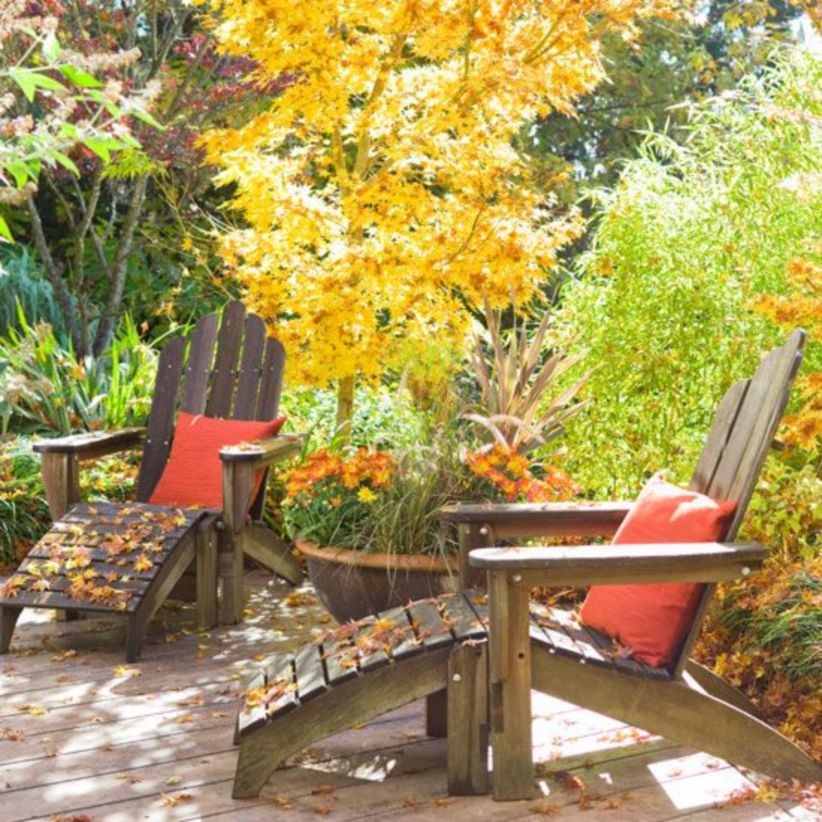 Fall landscaping ideas with seats comfortable