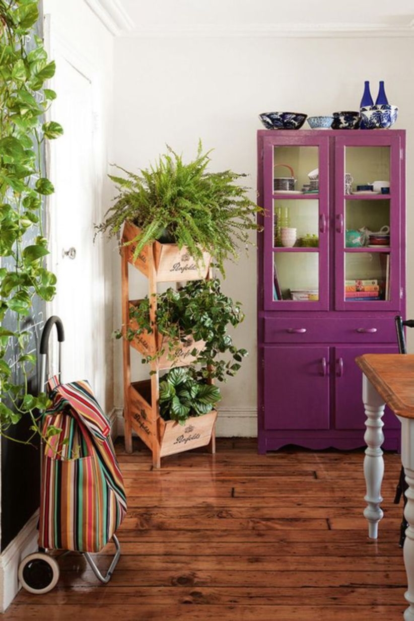 Ideas of how to display indoor plants harmoniously