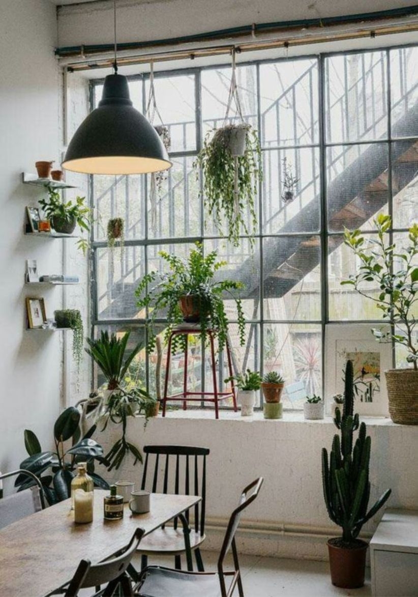 Industrial indoor plants your home
