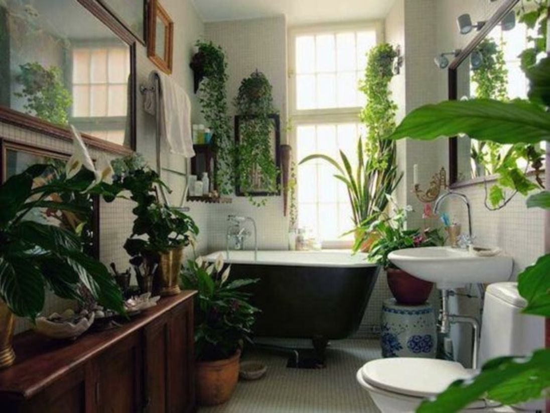 Stylish houseplant display idea for bathroom