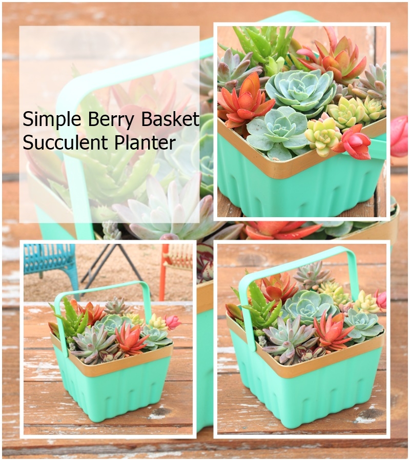 Simple Berry Basket Succulent Planter