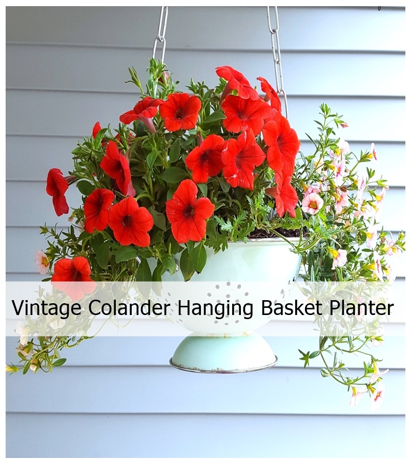 Vintage Colander Hanging Basket Planter