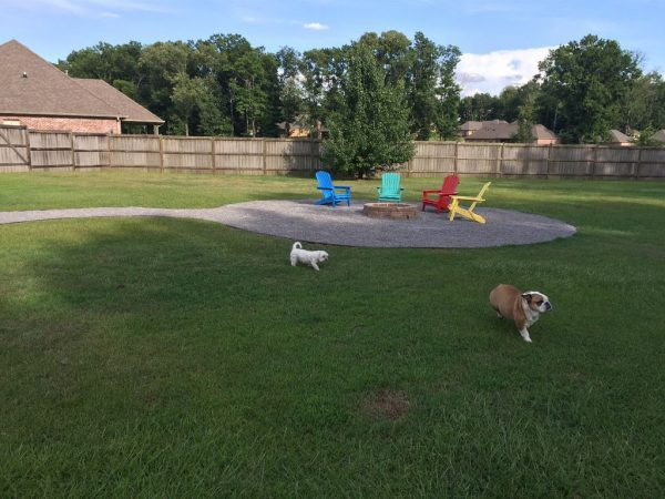 Diy fire pit and seating area