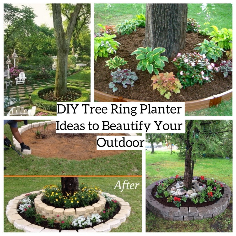 DIY Tree Ring Planter Ideas to Beautify Your Outdoor - GODIYGO.COM