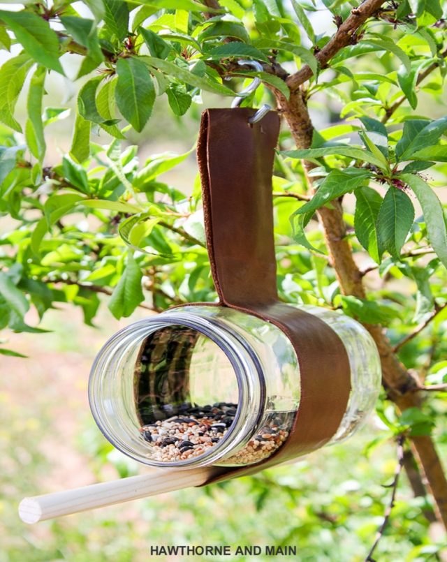 10 Bird Feeders Ideas That Will Fill Your Garden With Songbirds 