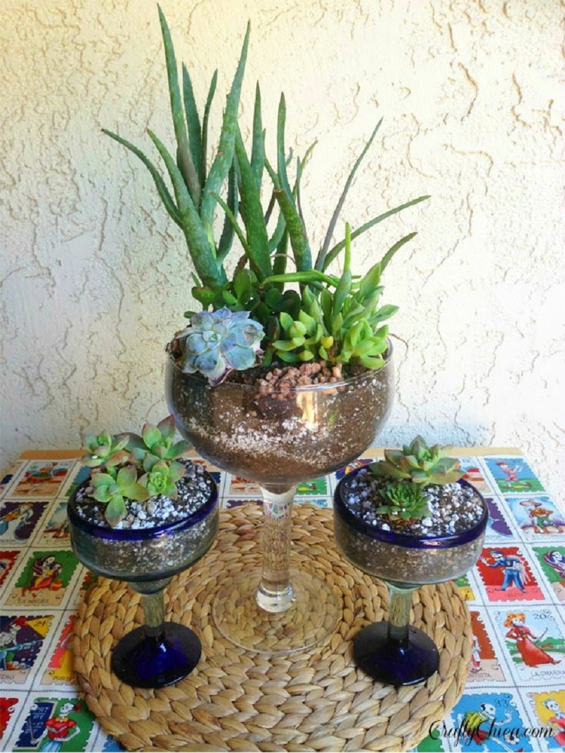 Margarita glass cactus garden