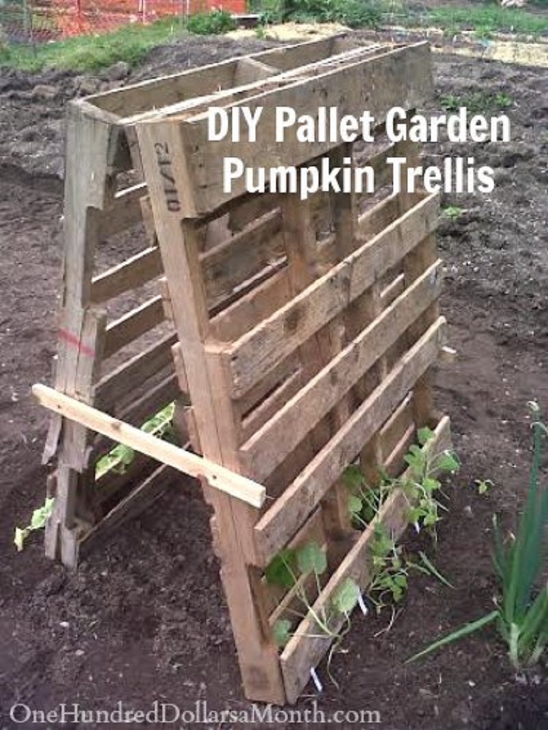 pallet-garden-trellis-for-squash