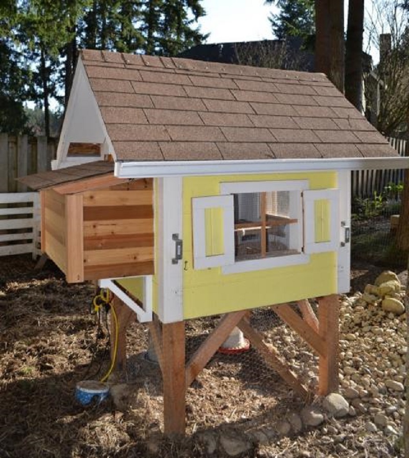 Budget chicken coop