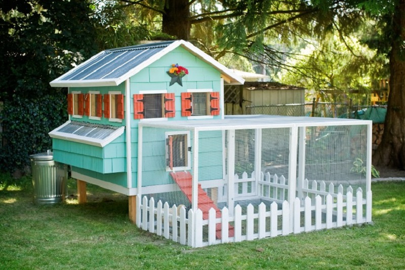 Minty chicken coop