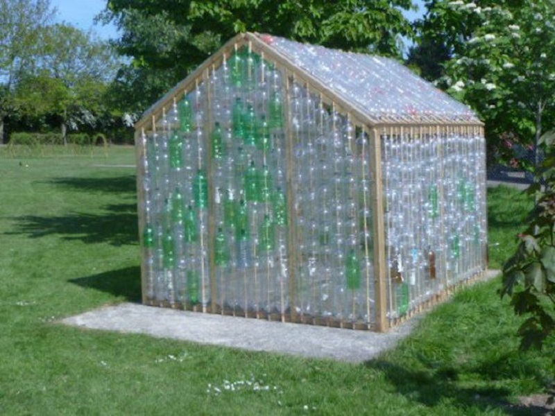 Plastic bottle greenhouse