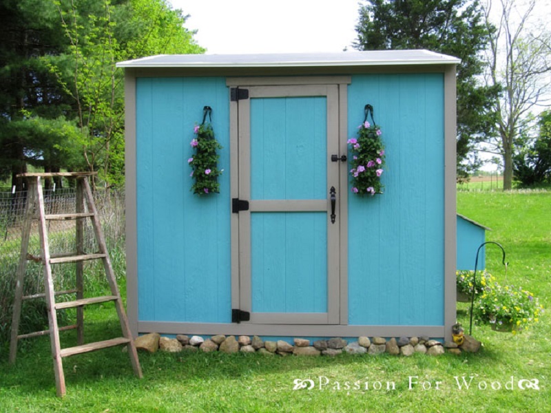 Shed chicken coop