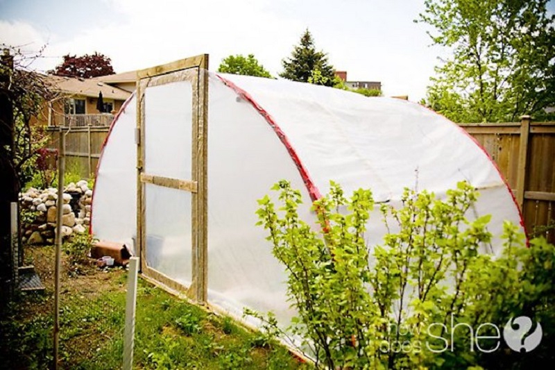 Trampoline-greenhouse