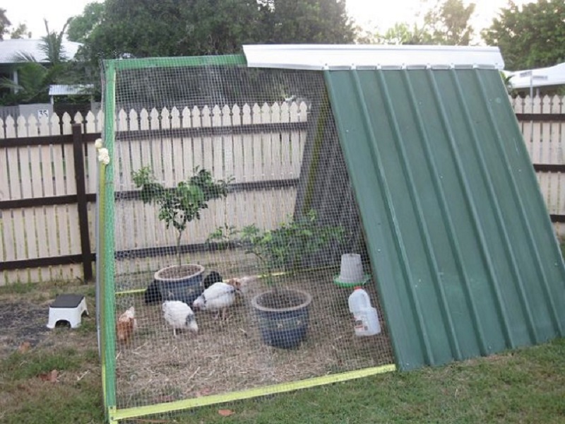 Triangle chicken coop