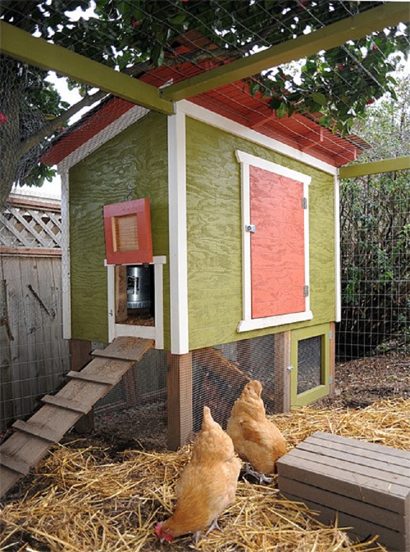 Urban chicken coop