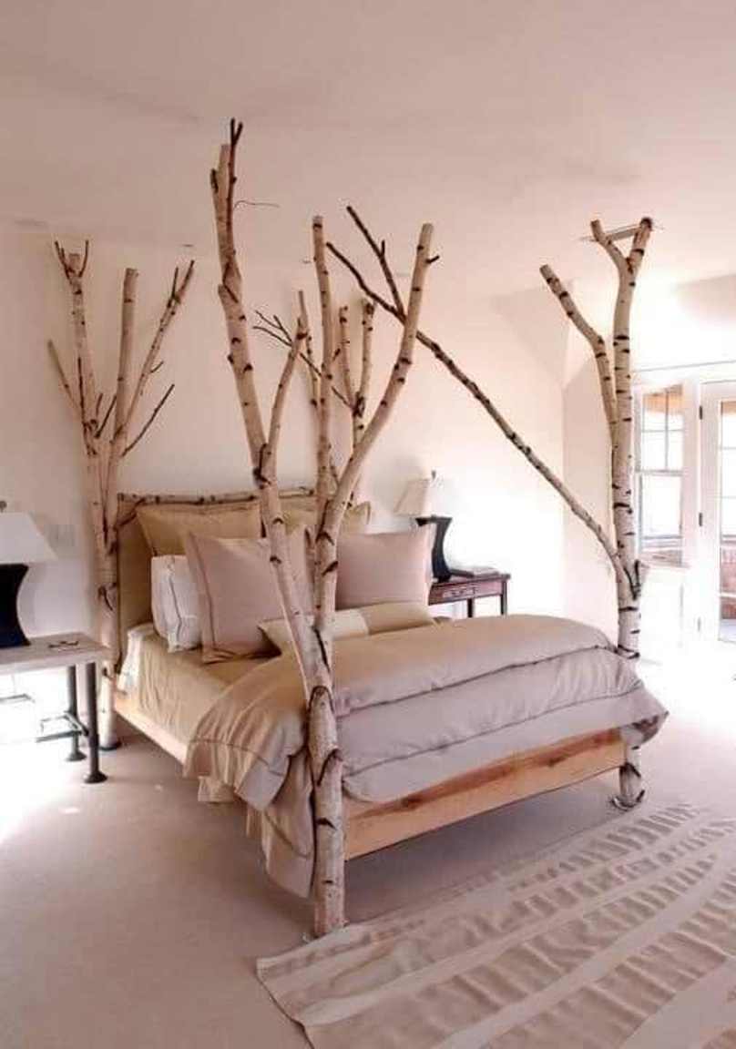 Modern Look With Tree Bed
