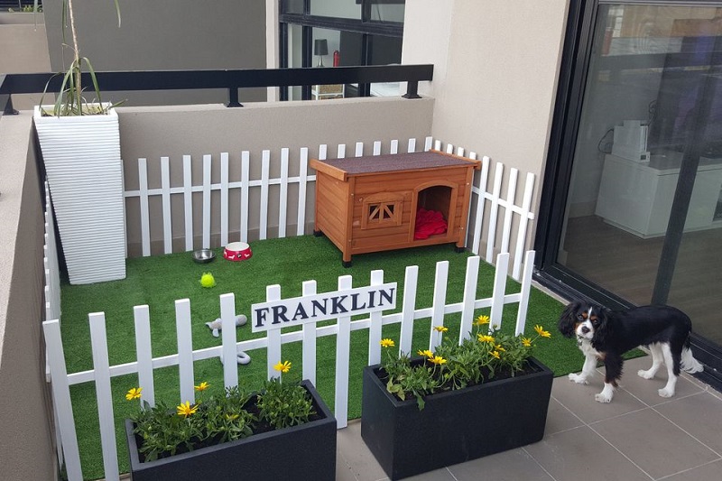 Pet-Friendly Balcony Decor
