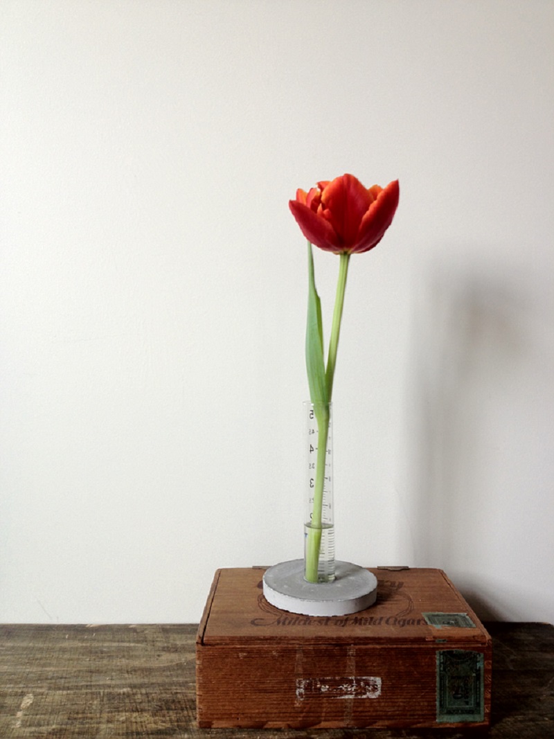 Concrete Glass Cylinder Vase DIY