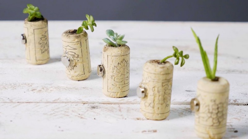 Tiny Cork Planters