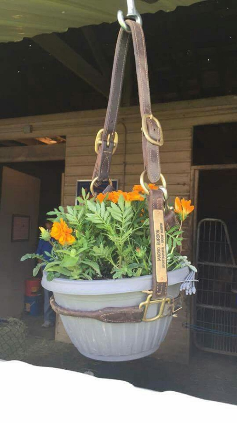 Awesome DIY Hanging Planter That You Can Copy To Create Your Own Garden Without Using A Lot Of Space