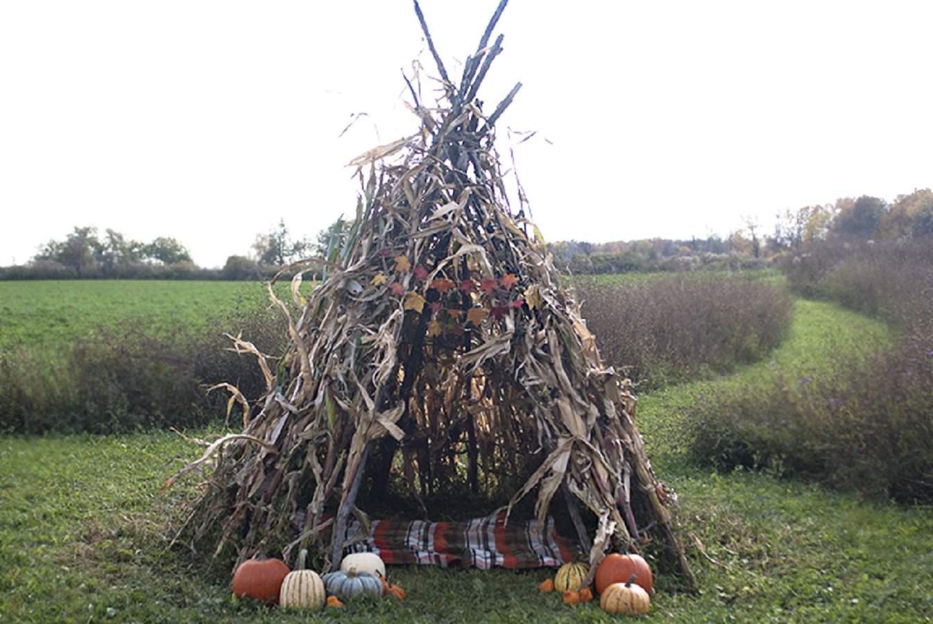 Cornstalk teepee DIY Wild Teepee Ideas That You And Your Kids Feel So Funny To Stay