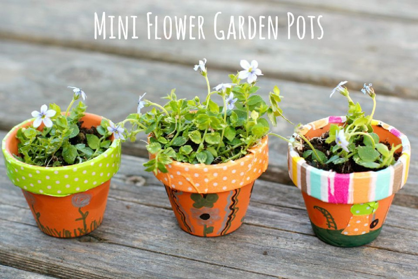 Diy mini flower garden pots Affordable DIY Flower Pot Ideas To Introduce Your Gorgeous Plants