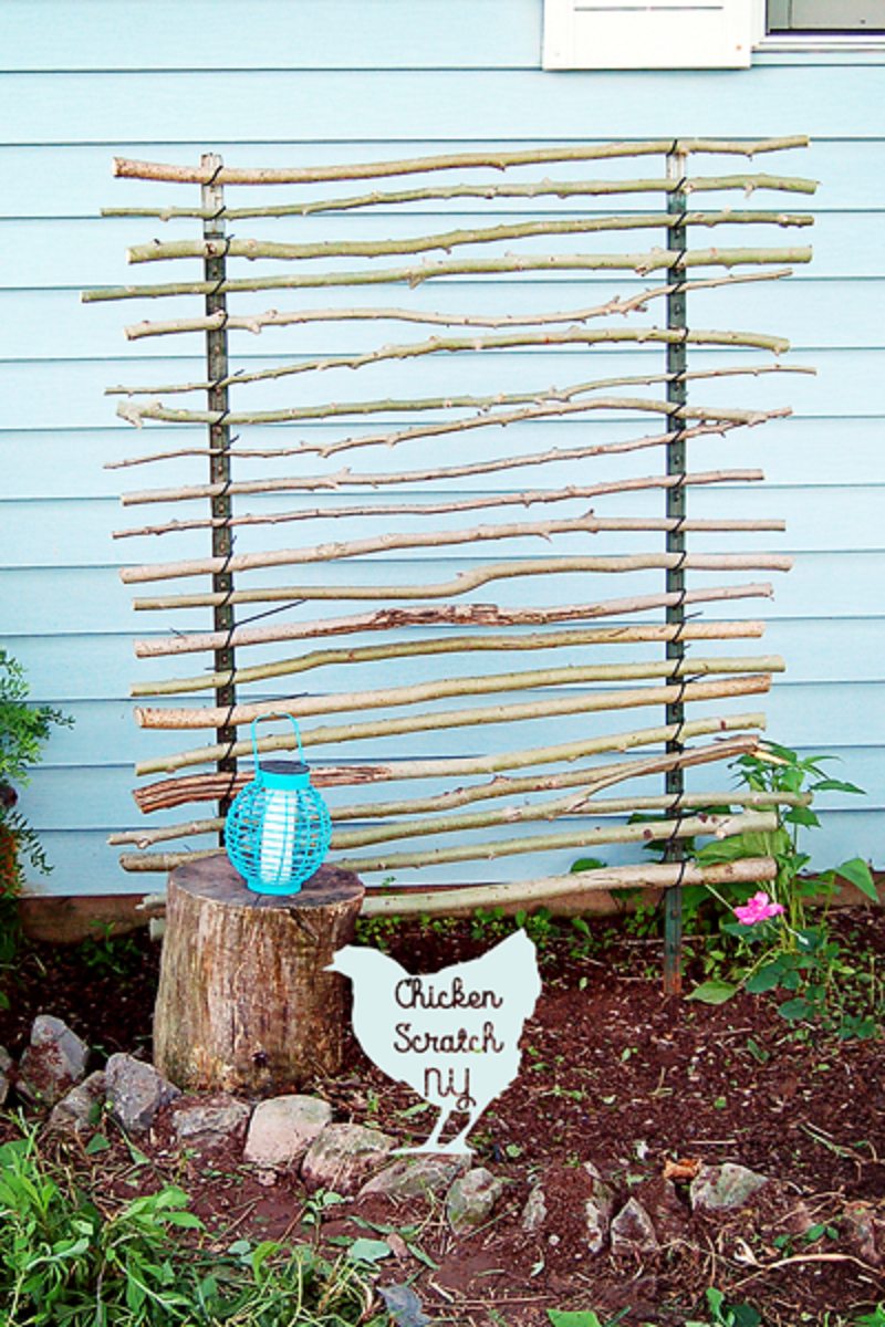 Diy t-post trellis Functional DIY Trellis Ideas To Beautify Your Garden In Style