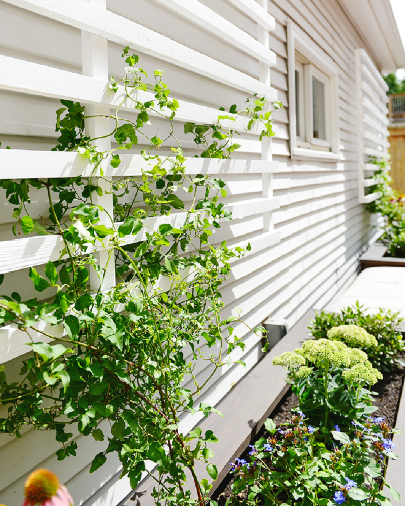 Modern trellis Functional DIY Trellis Ideas To Beautify Your Garden In Style