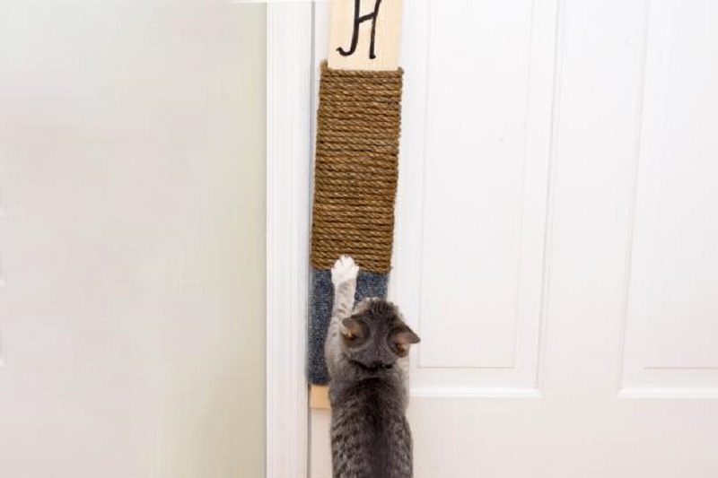 Super easy diy hanging scratching pad for your lovely cat