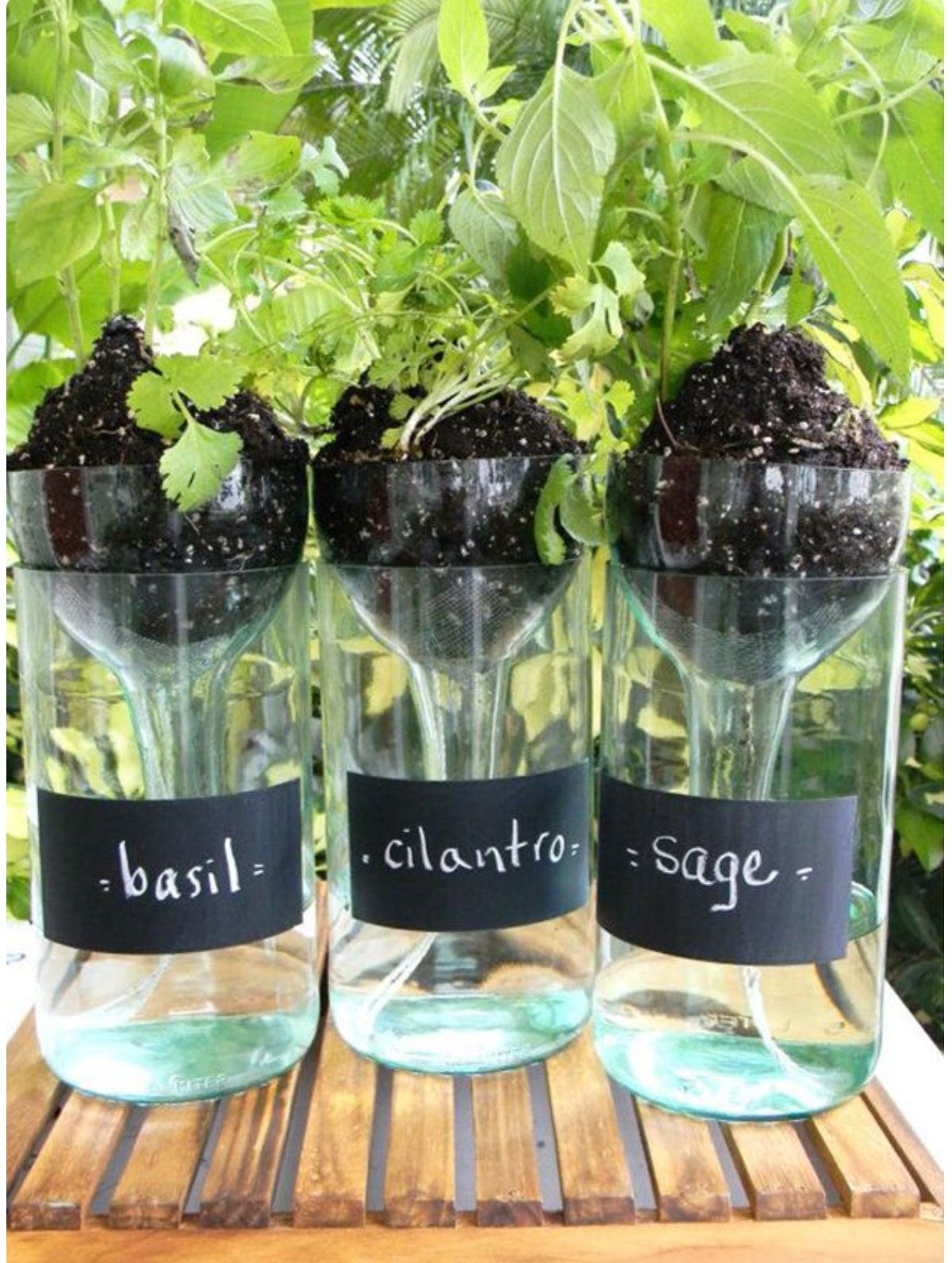 Wine bottles herb garden Unexpectedly Aesthetic DIY Wine Bottle Crafts That Magically Shining