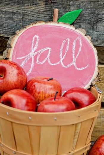 Diy apple fall