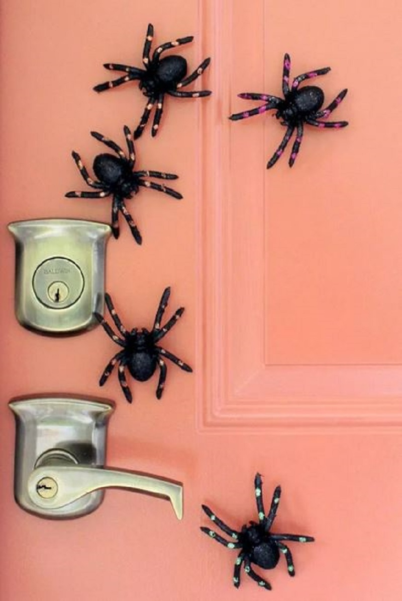 Diy magnetic spiders on the door