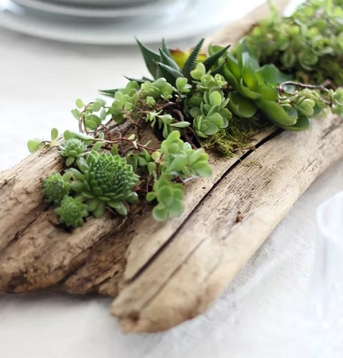 Driftwood centerpiece Pretty Fresh DIY Planters You Can Create From Scratch Or Recycled Materials