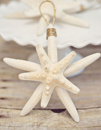 Coastal starfish ornament for christmas