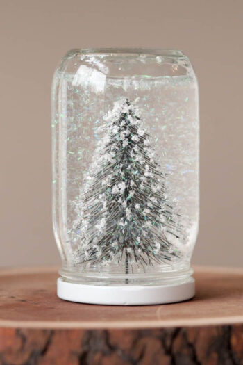 Cute snow globe