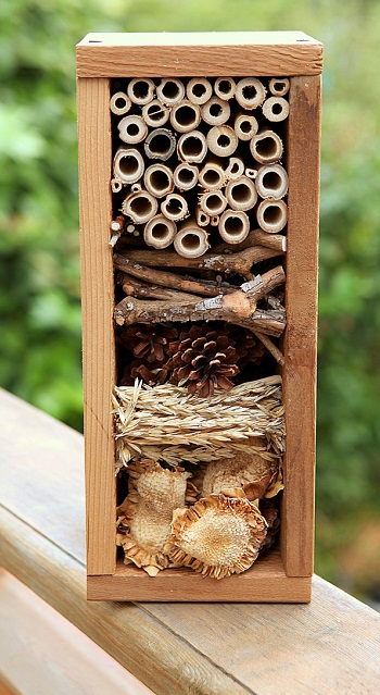 Build a bug hotel yourself Gardening Projects To Keep You Busy And Get You Through In The Colder Months This Year