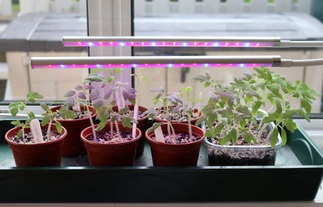Build a grow-light system Gardening Projects To Keep You Busy And Get You Through In The Colder Months This Year