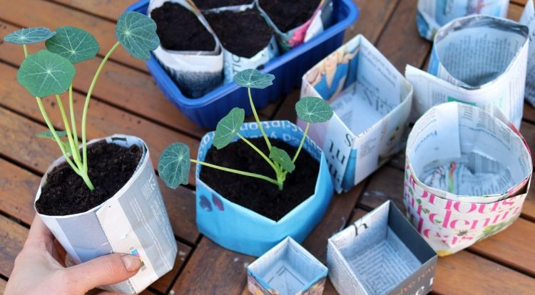 Newspaper plant pots Gardening Projects To Keep You Busy And Get You Through In The Colder Months This Year