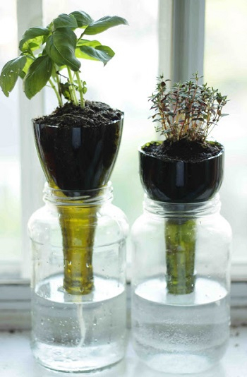 Self-watering glass planters Gardening Projects To Keep You Busy And Get You Through In The Colder Months This Year