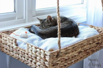 Cat bed of a wooden basket