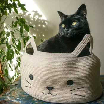 Creative and fun cat bed