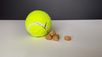 4 Cool DIY Ideas To Make More Durable Chewing Toys For Your Lovely Dogs