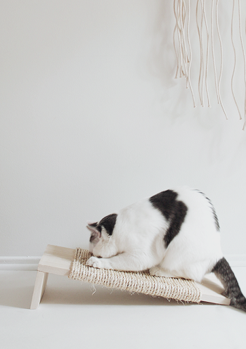 Gorgeous and Cute DIY Scratcher Ideas That Will Make Your Cats Love You To The Bone