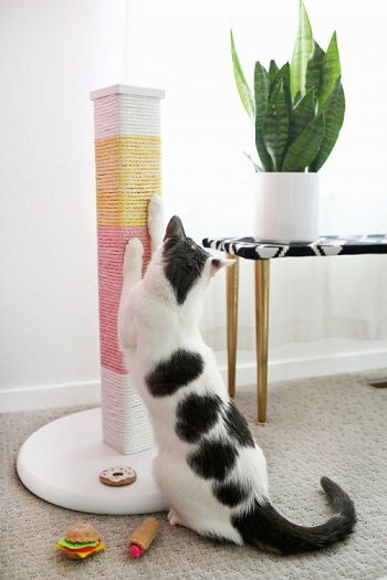 Gorgeous and Cute DIY Scratcher Ideas That Will Make Your Cats Love You To The Bone