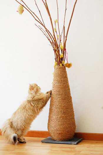 Gorgeous and Cute DIY Scratcher Ideas That Will Make Your Cats Love You To The Bone