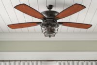 Ceiling fan light