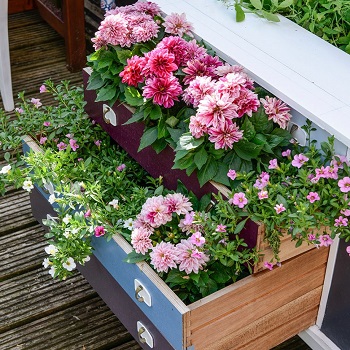 Upcycle a chest of drawers into a stunning planter Funny Weekend DIY Project To Keep You Out Off Boring