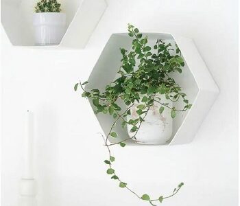 4 Best And Easy Hexagonal DIY Project That You Can Try Right Now