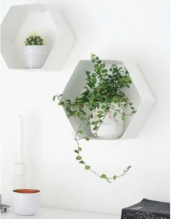 4 Best And Easy Hexagonal DIY Project That You Can Try Right Now