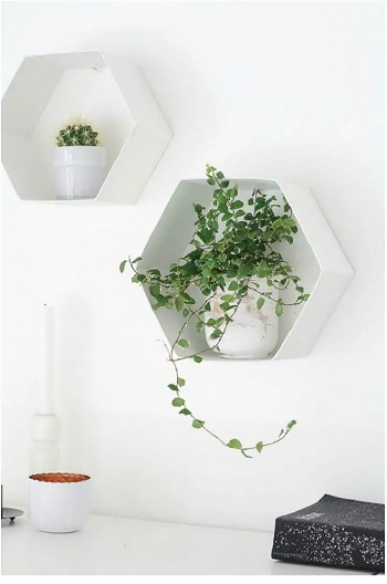 4 Best And Easy Hexagonal DIY Project That You Can Try Right Now